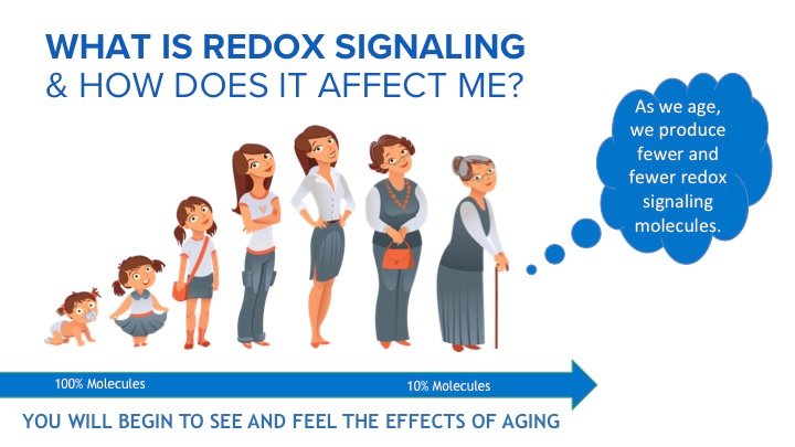 As we age we produce less redox signalling molecules